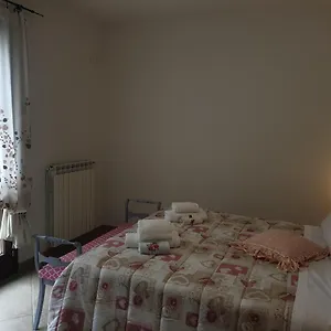 I Tulipani. I Tulipani Rossi Barberino di Mugello